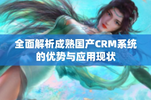 全面解析成熟国产CRM系统的优势与应用现状