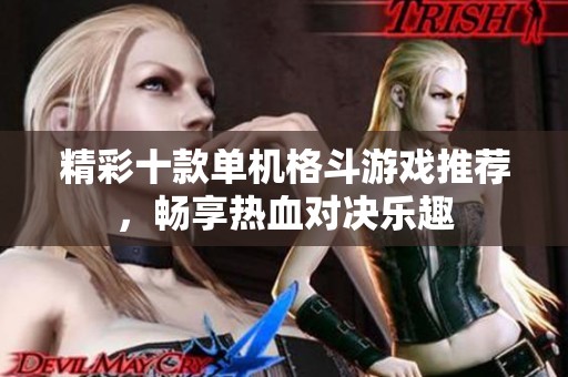 精彩十款单机格斗游戏推荐，畅享热血对决乐趣