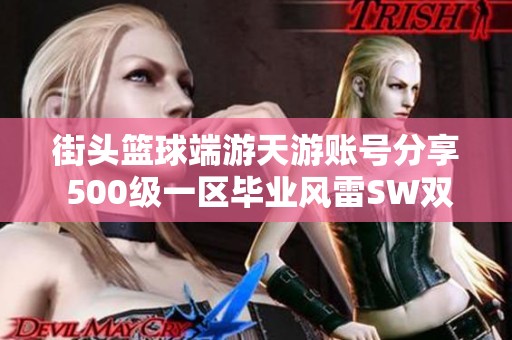 街头篮球端游天游账号分享 500级一区毕业风雷SW双加攻略