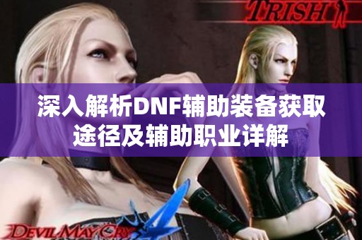 深入解析DNF辅助装备获取途径及辅助职业详解