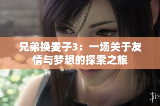 兄弟换麦子3：一场关于友情与梦想的探索之旅