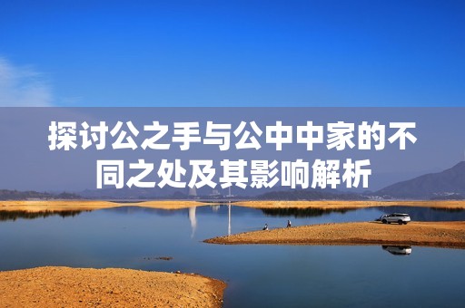 探讨公之手与公中中家的不同之处及其影响解析