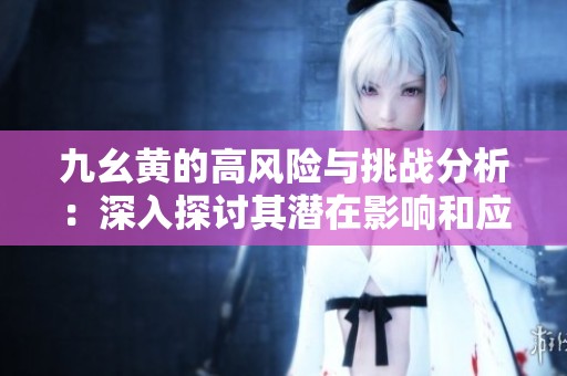 九幺黄的高风险与挑战分析：深入探讨其潜在影响和应对策略