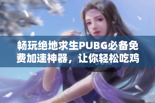 畅玩绝地求生PUBG必备免费加速神器，让你轻松吃鸡不再卡顿