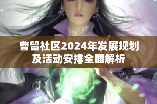 曹留社区2024年发展规划及活动安排全面解析