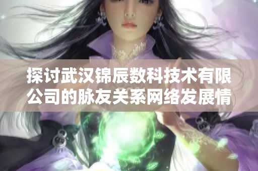 探讨武汉锦辰数科技术有限公司的脉友关系网络发展情况