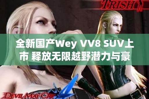 全新国产Wey VV8 SUV上市 释放无限越野潜力与豪华体验