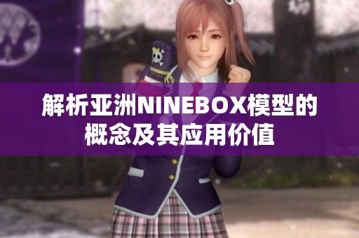 解析亚洲NINEBOX模型的概念及其应用价值