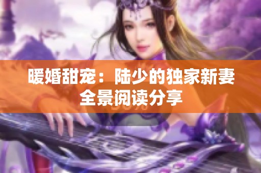 暖婚甜宠：陆少的独家新妻全景阅读分享